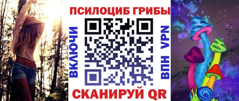 где можно купить Томилино Галлюциногенные грибы MAGIC MUSHROOMS
